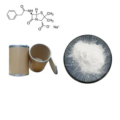 Penicilina de grado farmacéutico G Polvo de sal de sodio Cas 69-57-8
